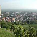 بيت ضيافة Altstadt-residenz Manz Wachenheim an der Weinstraße