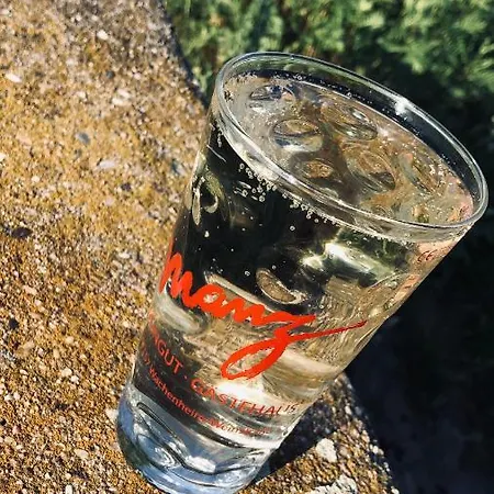 Altstadt-residenz Manz Guest house Wachenheim an der Weinstrasse