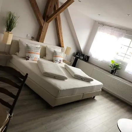 Altstadt-residenz Manz Penzion 4*
