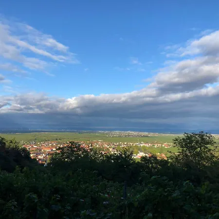 Altstadt-residenz Manz 4*