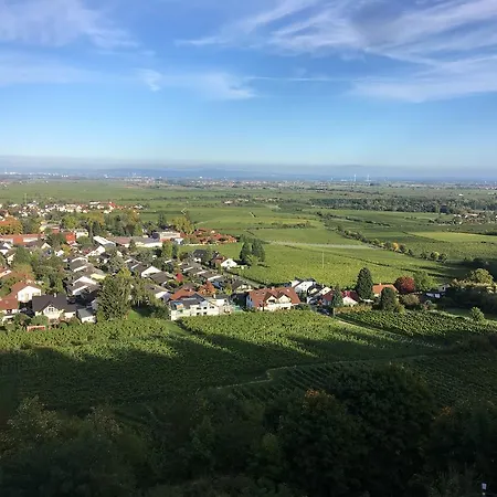Guest house Altstadt-residenz Manz Wachenheim an der Weinstrasse