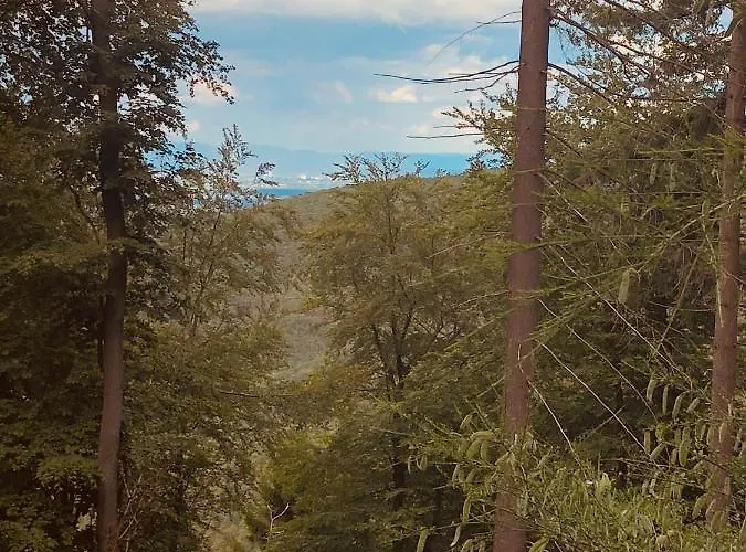 Altstadt-residenz Manz Guest house 4*