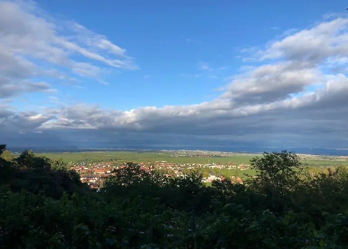 Altstadt-residenz Manz 4*