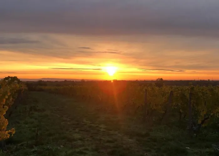 Guest house Altstadt-residenz Manz