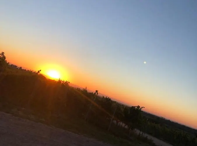 Altstadt-residenz Manz Wachenheim an der Weinstrasse